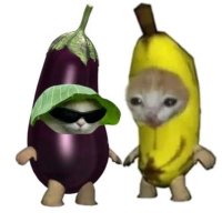 Kyedaeの写真