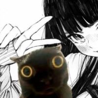 Mendoの写真